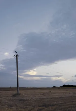 Solitary Power Pole