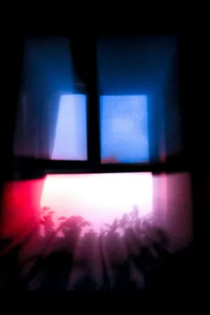 Window Light