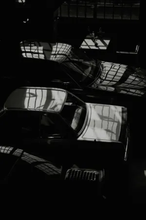 Sunlit Car Reflections