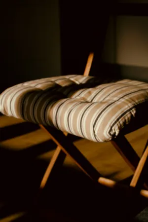 Striped Chair Cushion