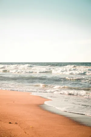 Beach Scene