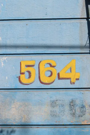 Number 564