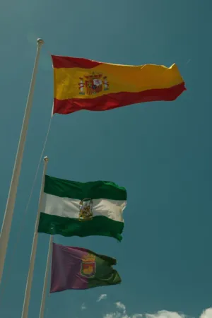 Flags Of Spain