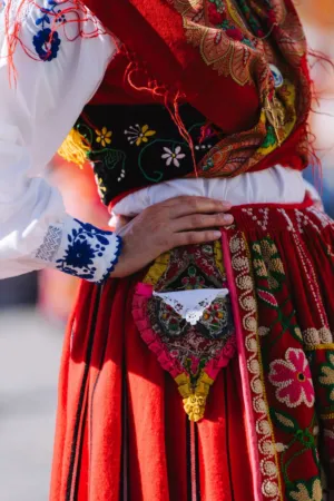 Traditional Folklore Costume