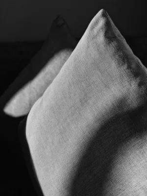 Gray Pillow Shadows