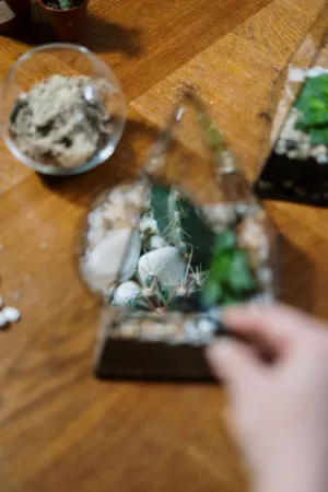 Diy Succulent Terrarium