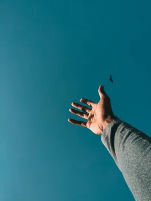 Hand And Bird