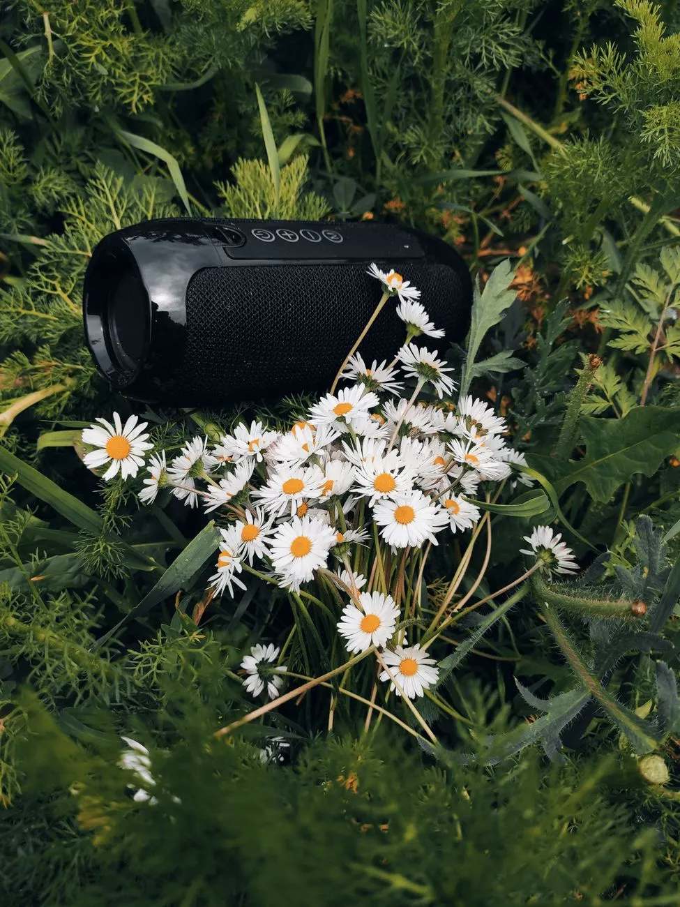 Black Speaker In Nature