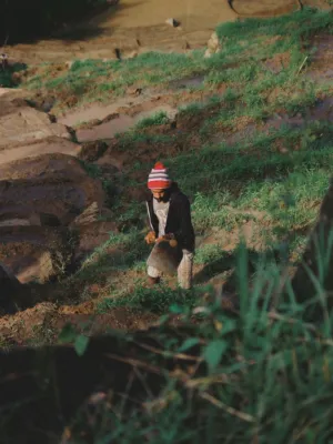 Farmer In The Field