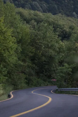 Winding Road In The Forest