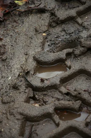 Muddy Tracks