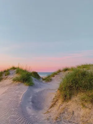 Beach Dunes At Sunset