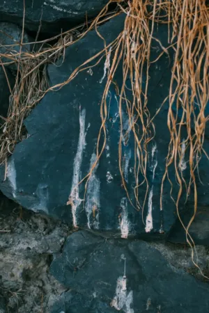 Rocks And Dried Grass