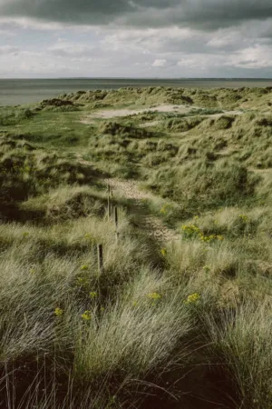 Beach Path