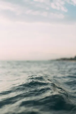 Ocean Waves