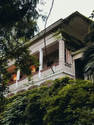 Villa In The Jungle