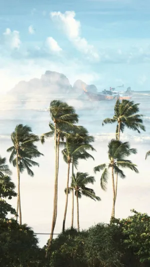 Palm Trees By The Sea