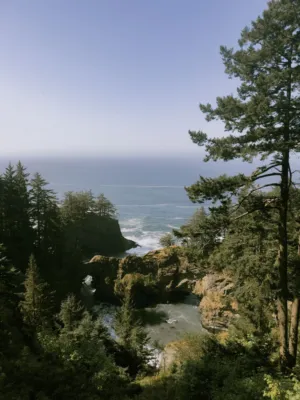 Coastal Landscape