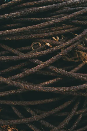 Tangled Twine