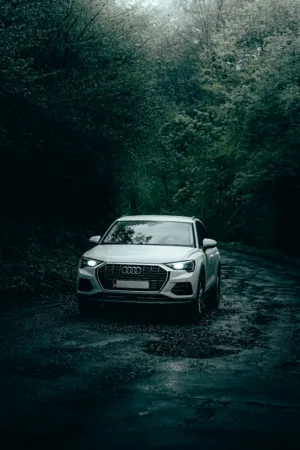 Audi Suv In The Forest