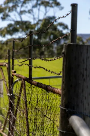 Rustic Fence