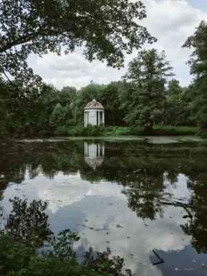 Pond Reflections