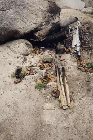 Burnt Campfire Remains
