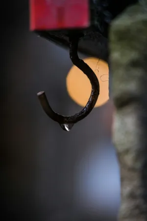 Rustic Hook With Water Drop