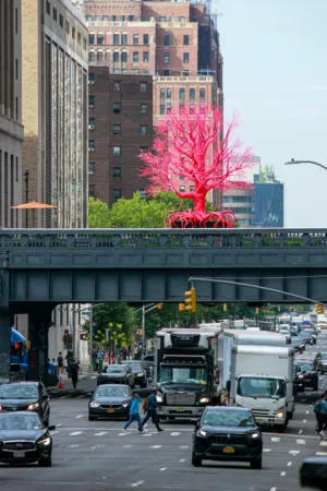 Urban Art: Pink Tree On Bridge