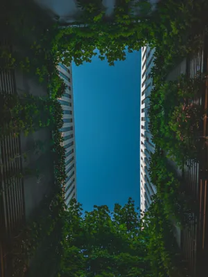 Urban Nature Frame
