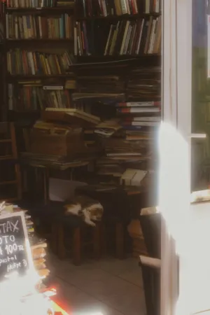 Cozy Bookstore With Sleeping Cat