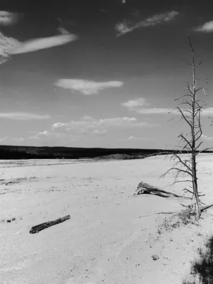 Desolate Landscape