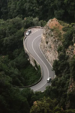 Winding Road Through Forest