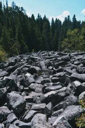 Rocky Forest Path