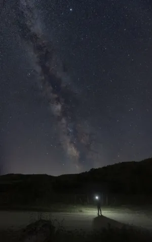 Starry Night Sky