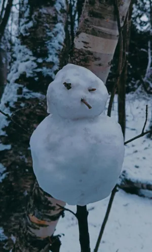 Snowman In Winter Forest