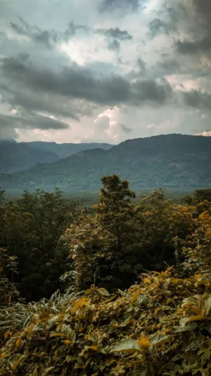 Mountainous Landscape