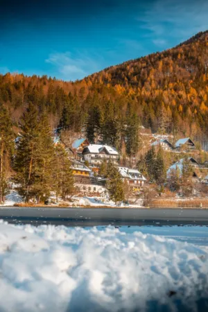 Winter Wonderland