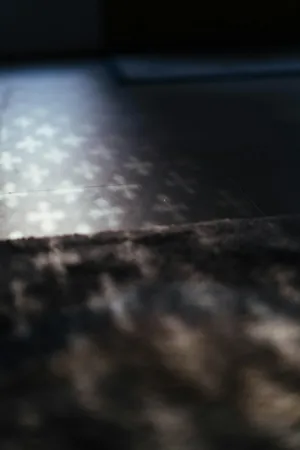 Shadowed Floor