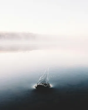 Stone In Water