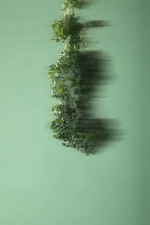 Green Kale
