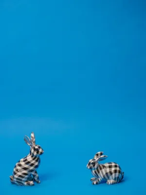 Checkered Rabbits