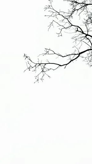 Minimalist Tree Branches