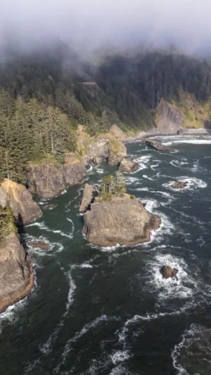 Rugged Coastline