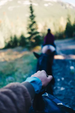 Horseback Riding Adventure