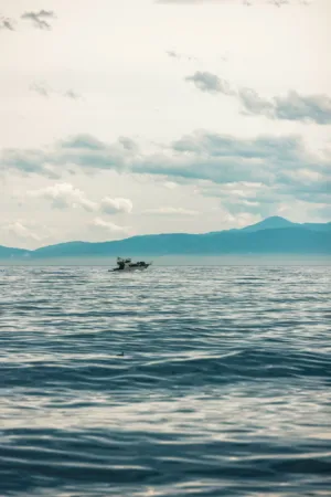 Solitary Boat On Calm Waters