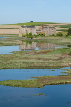 Stone Manor House Reflection