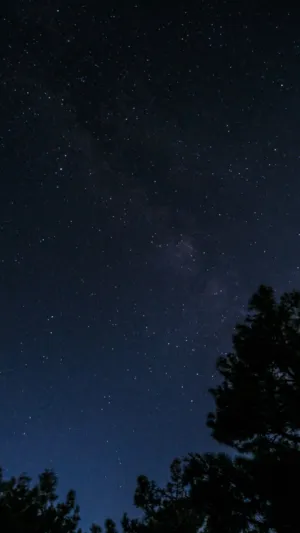 Starry Night Sky