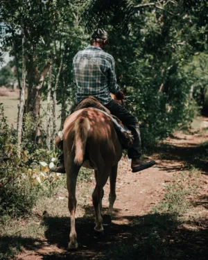 Rural Ride