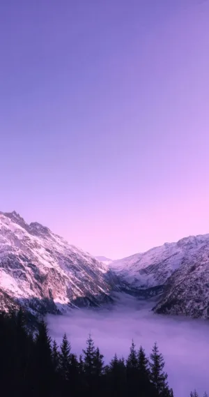 Purple Mountain Majesty